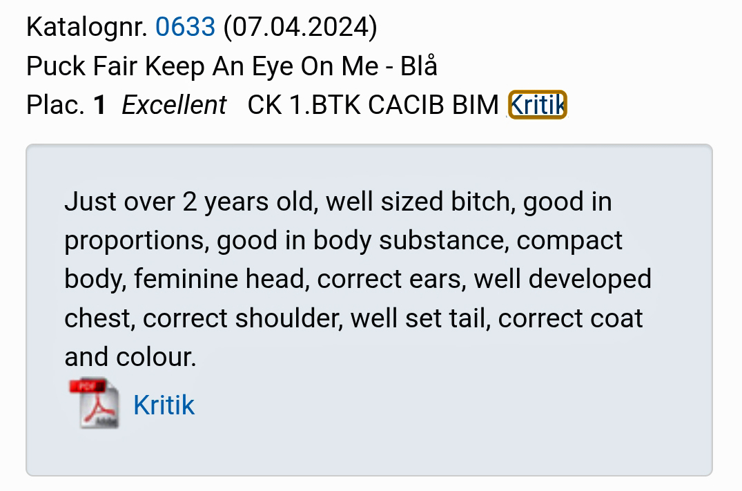 2026 08 15 Kritik