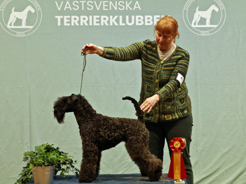Kerstin BIR i Bohus lu